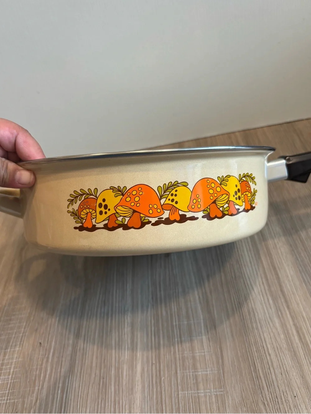 VTG Sears Merry Mushroom 10” 1 Qt Enamel Sauce Fry Pan W/ Lid MCM 70s Granny